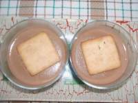   Panacotta de galletas y cola cao