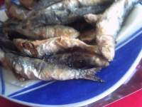   SARDINAS FRESCAS Y PESCADILLAS, OIGA !