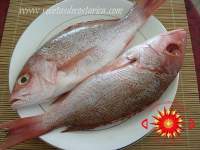   pargo rojo al papillote