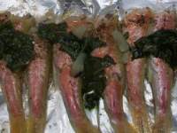   Salmonetes en papillote