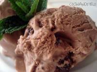   HELADOS DE CHOCOLATE Y DE VAINILLA CON MACADAMIA