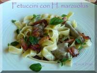   Fetuccini con H. marzuolus