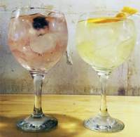 Gin tonic con ginebra macerada