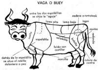   Partes de la vaca o buey