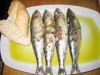   Sardinas asadas en baño de aceite de oliva