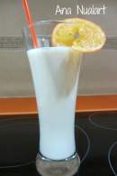   BATIDO DE MELÒN CON YOGUR VILII 