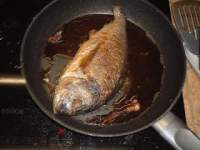   Dorada a la plancha