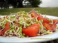   Como hacer ensaladas con germinados