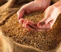 La Cacharrería: Pan de trigo sarraceno, quinoa y arroz (panificadora)