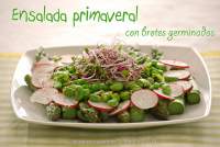   Ensalada primaveral - Cocina con brotes y germinados {Ventanas Verdes}