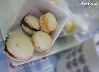   Macarons Basicos con Lemond Curd y Chocolate con Avellanas