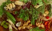   5 vegetales ricos en proteína que debes comer  Los vegetales son una fuente importante de proteínas. Estos nutrientes son esenciales par