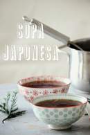   Sopa japonesa