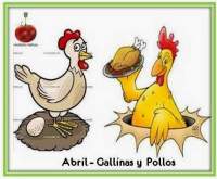   Abril 2014: Pollo y  Gallina