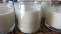   Yogur Natural en Thermomix