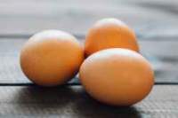Día internacional del huevo   