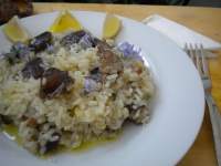   Risotto de setas y romero