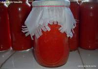 SALSA DE TOMATE EN CONSERVA