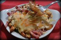   Bacon cheese fries