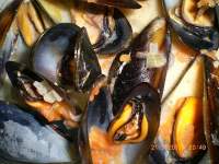   Moules  especiales ( mejillones franceses!)