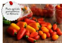   Ruta agrícola gastronómica en Almería