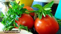 ENSALADAS Y GUARNICIONES SENCILLAS CON TOMATE   