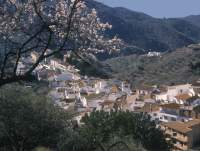   Ha empezado la vendimia! Bodegas Dimobe