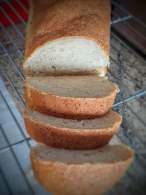 Pan de Molde tipo Brioche sin gluten
