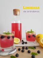 5 SeNtIdOs En La CoCiNa: Limonada de arándanos {Pink Lemonade}