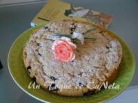   BISCOCHO CON ARÀNDANOS FRESCOS