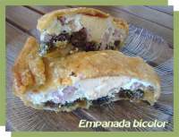   Empanada bicolor