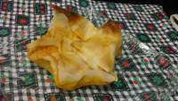   Tulipas de brick con cremoso de zanahoria, atún y pimiento